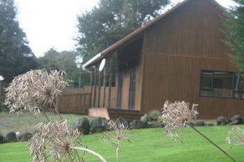 Ariari Lodge, Lake Rotorangi Stratford Exterior foto